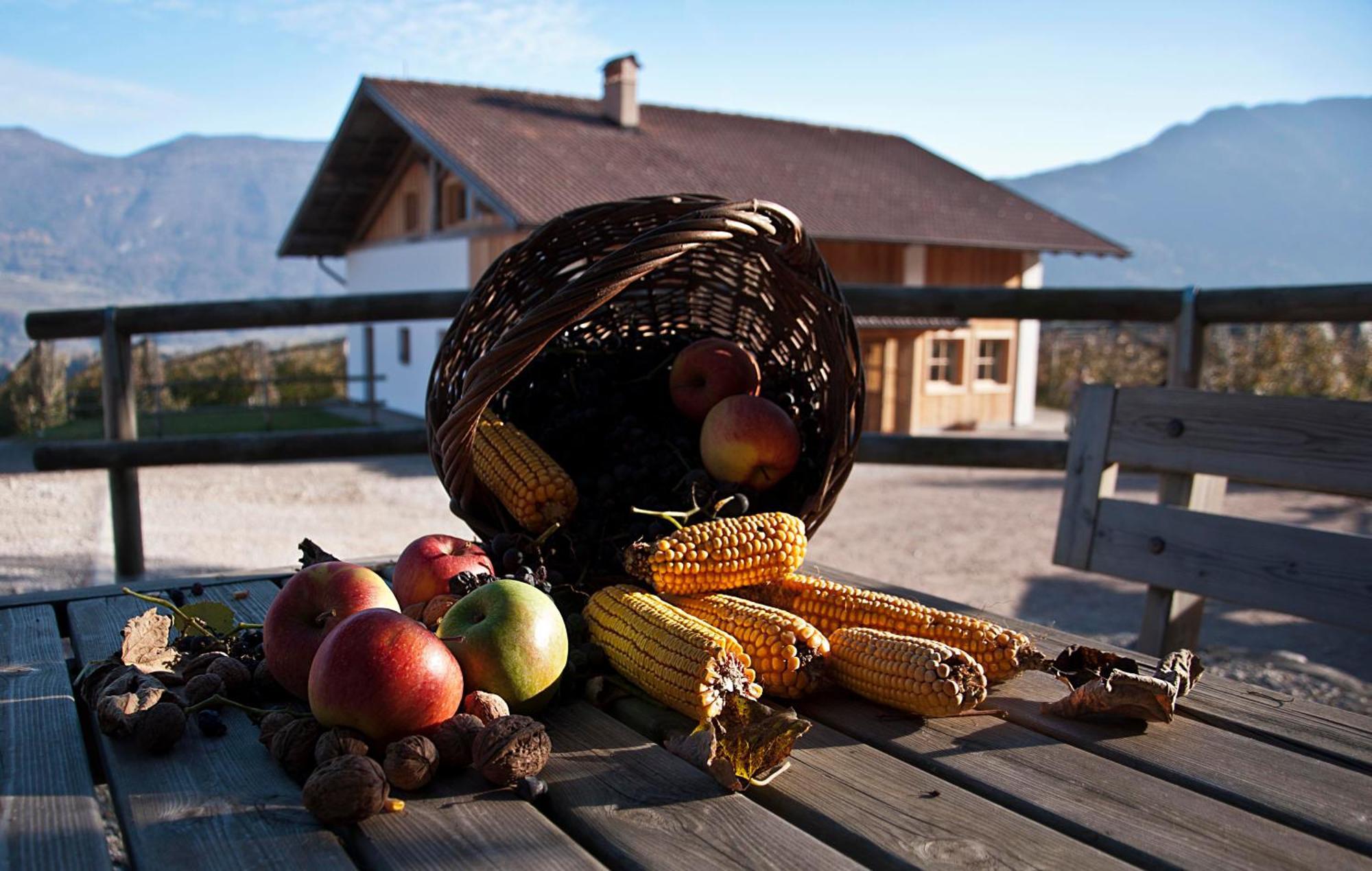 Agritur Maso Pra' Cavai B&B Balbido-rango Luaran gambar