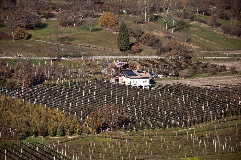 Agritur Maso Pra' Cavai B&B Balbido-rango Luaran gambar